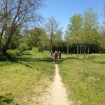 © Sentier du castor - La Transligérienne : Veauche / Montrond-les-Bains - OT FOREZ-EST