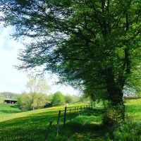 Le chemin des collines