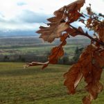 © Sentier Les coteaux de Valeille - OT FOREZ-EST - MC