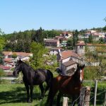 © Sentier Les coteaux de Valeille - OT FOREZ-EST - CP