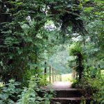 © Sentier des moulins - OT FOREZ-EST - CP