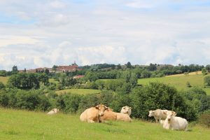 Sentier Le Puy Bayard