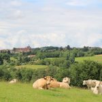 © Sentier Le Puy Bayard - OT FOREZ-EST - CP