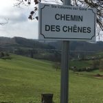 © Sentier découverte du viaduc du pont marteau : les chauves-souris - OT FOREZ-EST - CP