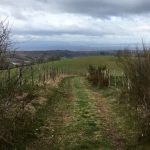 © Sentier Le pont Marteau - OT FOREZ-EST - CP