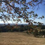 © Le Moulin - OT FOREZ-EST - CP