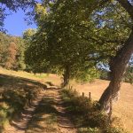 © Le Moulin - OT FOREZ-EST - CP