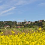 © Entre plaine et monts - OT FOREZ-EST - OTMM