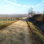 © Entre plaine et monts - OT FOREZ-EST - MC
