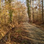 © Entre plaine et monts - OT FOREZ-EST - MC