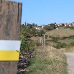 © Sentier La Doise - OT FOREZ-EST - CP