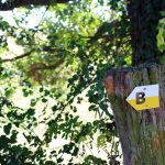 © Sentier Les Fayettes - OT FOREZ-EST - CP