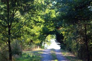 Sentier Les Rôtis