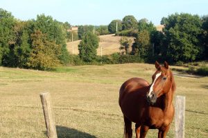 Sentier Les trois chapelles