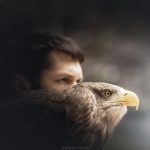 © Falconry - Sébastien Marion