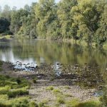 © Sentier du castor - La Transligérienne : Montrond-les-Bains / Ecopôle du Forez - OT FOREZ-EST - ASC