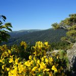 © Klettersteig des Olme-Felsen - Office de Tourisme Loire Forez