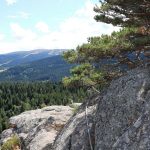 © Rocher de l’Olme Via Ferrata trail - Peggy Jimenez