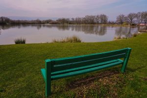 Etang de la Cotille