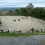 © Centre Equestre Régional du Forez - CERF - France