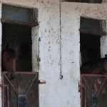 © Centre Equestre Régional du Forez - CERF - Marcoux - France