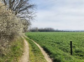 Sentier L'Île