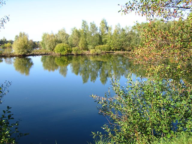 © Etangs des Vernes - Veauchette - Municipalités de Veauchette