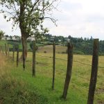 © Sentier paysagé - OT FOREZ-EST - CP