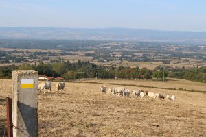 Sentier Les deux chapelles