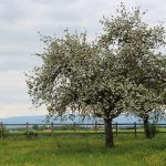 © Sentier du castor : de l'écopôle du Forez à Feurs - OT FOREZ-EST