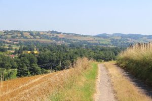 Sentier entre Loire et Rhône