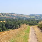 © Sentier entre Loire et Rhône - OT FOREZ-EST CP