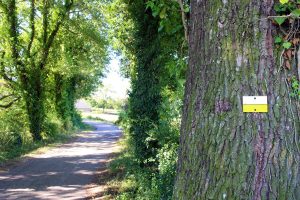 Sentier Les baladins