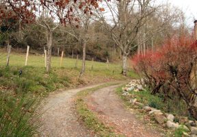 Sentier Les chèvres blanches