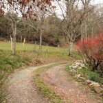 © Sentier Les chèvres blanches - OT FOREZ-EST ML