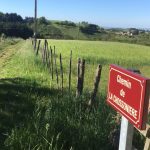 © Sentier Les chèvres blanches - OT FOREZ-EST CP