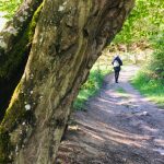 © Sentier les chèvres blanches - OT FOREZ-EST CP