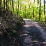 © Sentier les chèvres blanches - OT FOREZ-EST CP