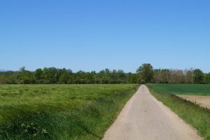 Sentier Les bords de Loire