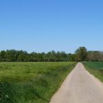 © Sentier Les bords de Loire - OT FOREZ-EST CP