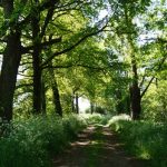 © Sentier Les bords de Loire - OT FOREZ-EST CP