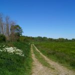 © Sentier Les bords de Loire - OT FOREZ-EST CP