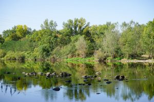 Unias - A la découverte des bords de Loire