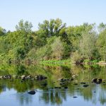 © Boucle d'Unias - sentier des Bords de Loire - OT Loire Forez