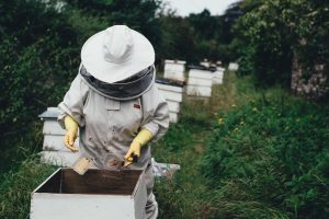 J'installe une ruche dans mon jardin - stage d'apiculture