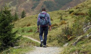 Le Chemin de Montaigne - GR®89 en Loire Forez