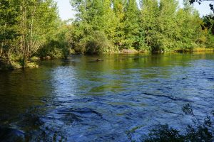 Boucle de Boisset-Les-Montrond