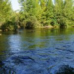 © A la découverte des bords de Loire - OT Loire Forez