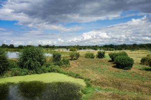 GR®765 et Chemin de St-Jacques-de-Compostelle - Cluny/Le-Puy-en-Velay Etape Bussy-Albieux - Montverdun