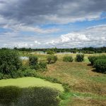 © Réserve de Biterne - OT Loire Forez